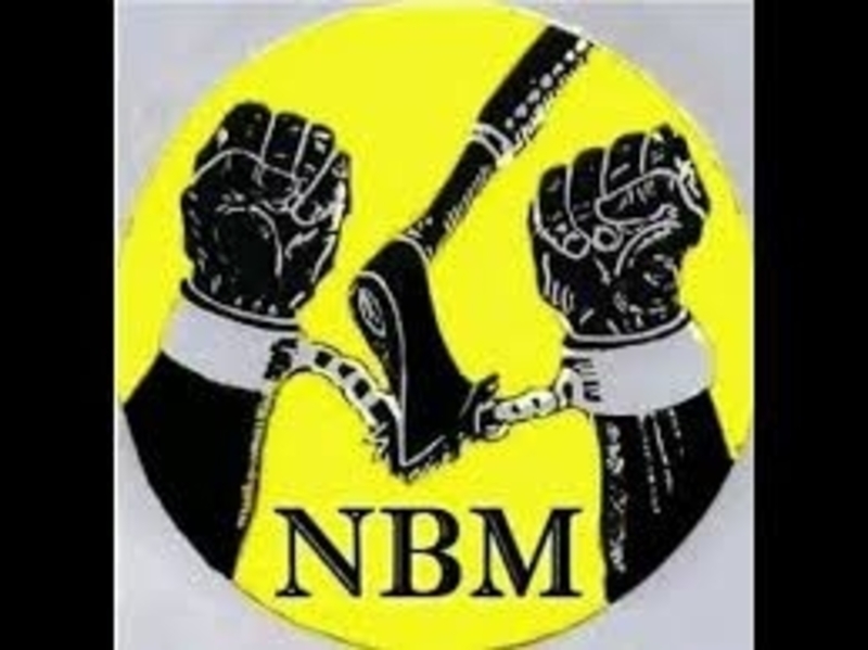 neo black movement of africa music